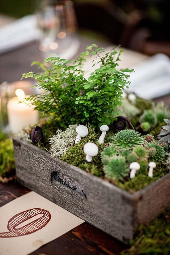 rustic moss, mushroom, and succulent wedding centerpiece