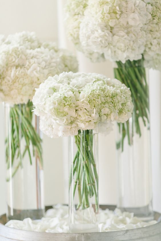 all white wedding flowers white hydrangeas