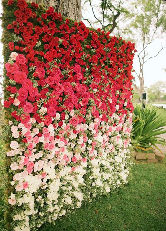 ombre red roses wedding backdrop