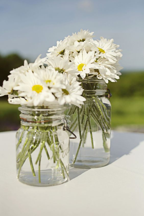 wedding flowers daisies