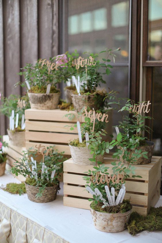 Plant your escort cards into moss covered pots with this lovely botanical seating chart