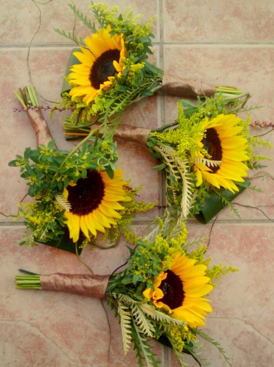 Single large sunflower with ferns