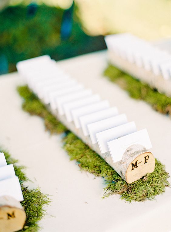 escort cards in wooden branches on moss