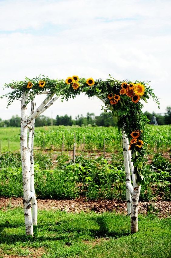 rustic sunflower birch wedding arch