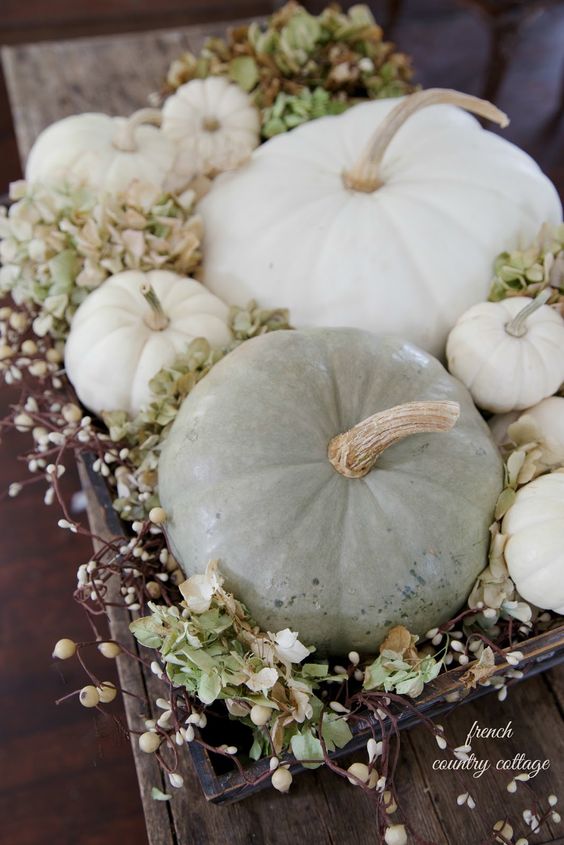 Autumn vignette Pumpkins from French Country Cottage