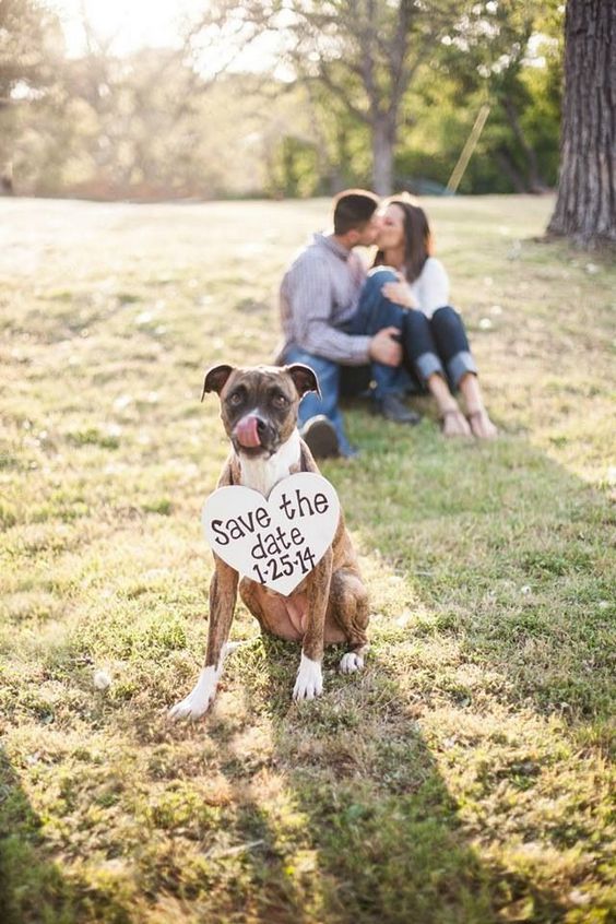 Engagement Photos with Pets