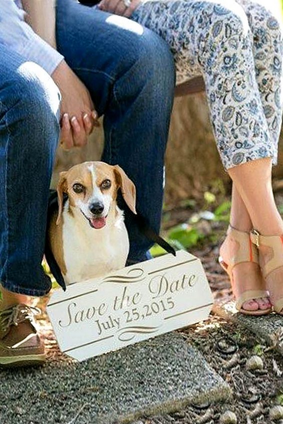 Fall Engagement Photo &  Save The Date Ideas 34