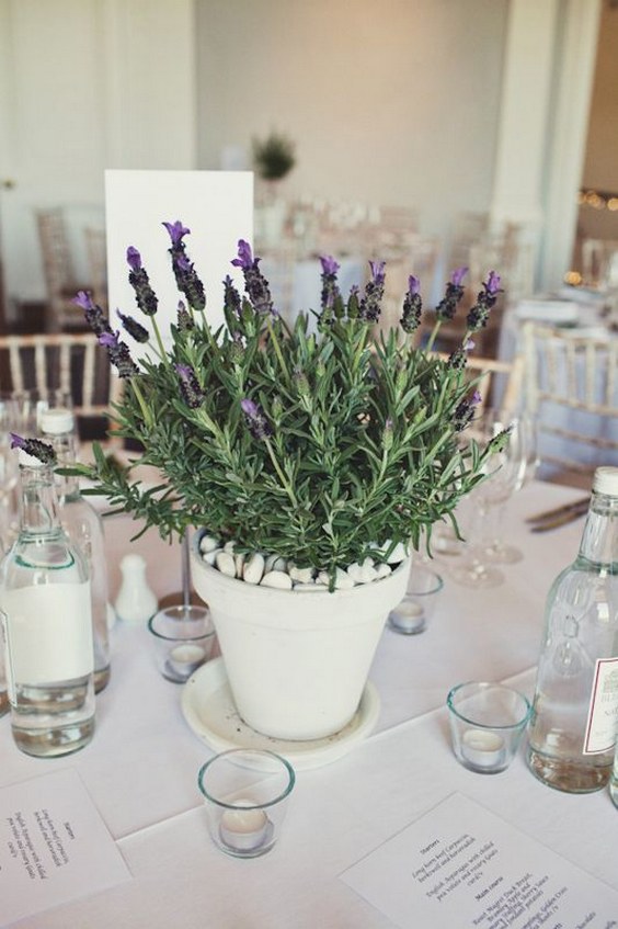 60 Unique Ways to Use Potted Plants In Your Wedding - Page ...