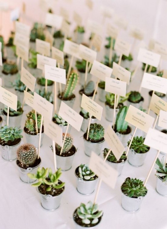 Succulent Wedding Table Place Cards