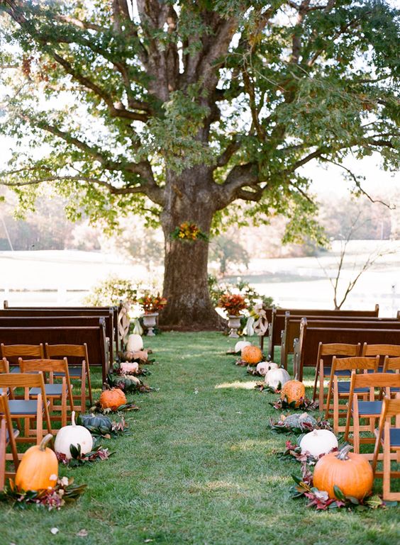 gorgeous pumpkin lined fall wedding aisle