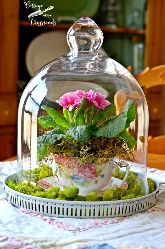green moss and pink primroses in a flowery teacup bell jar wedding centerpiece