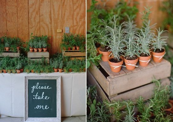 rustic potted herbs wedding centerpiece
