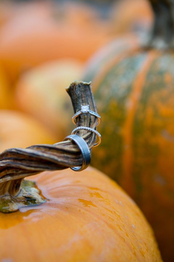 pumpkin display wedding ring