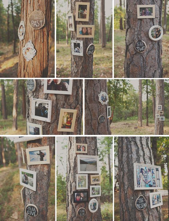 whimsical vintage wedding photo tree