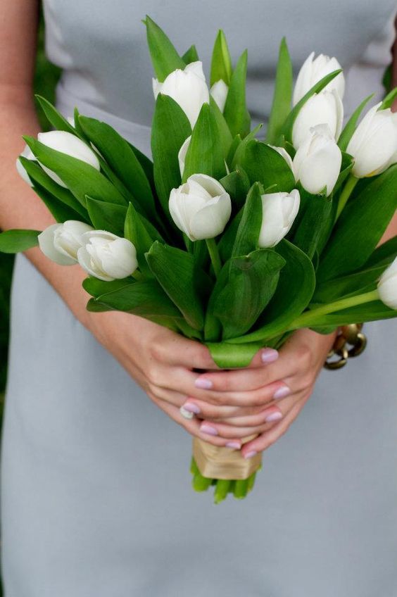 Spring White tulip wedding bouquets