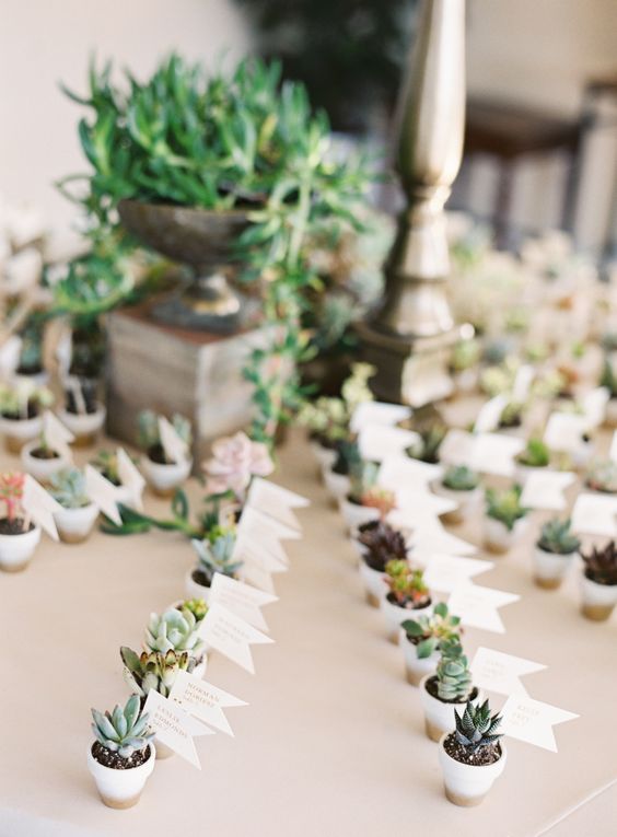 Mini succulent wedding favors via Photography Justin DeMutiis Photography
