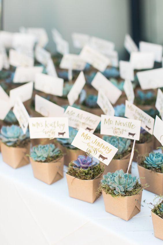 Succulent place cards and favors – Photography Carlie Statsky