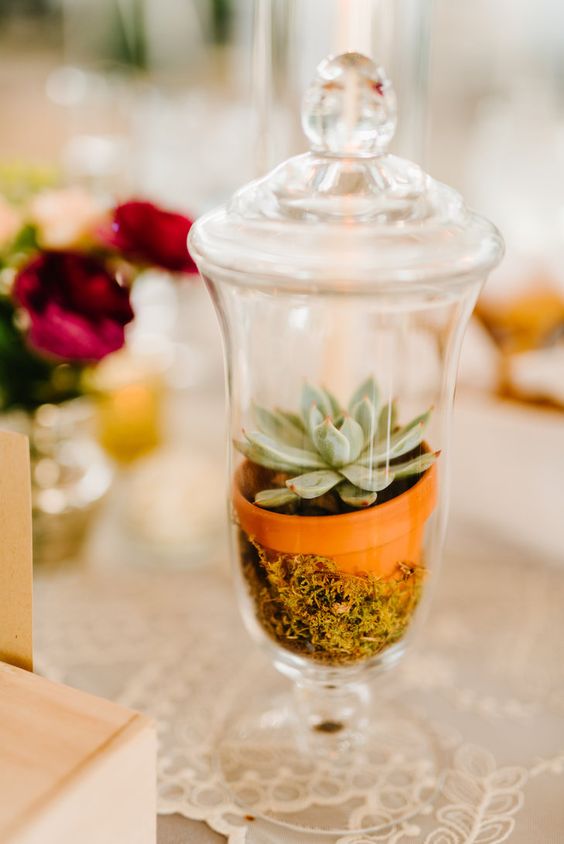 Wedding Centerpiece Apothecary Jar With Succulent