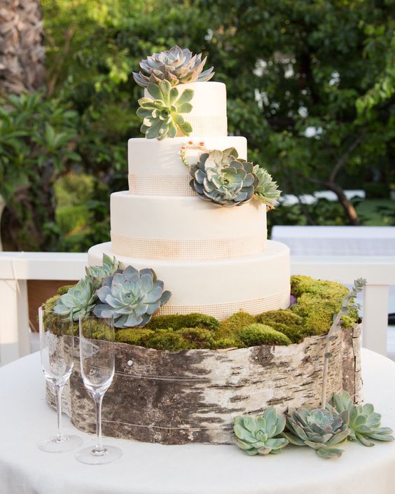 succulent wedding cake and birch moss wedding cake stand