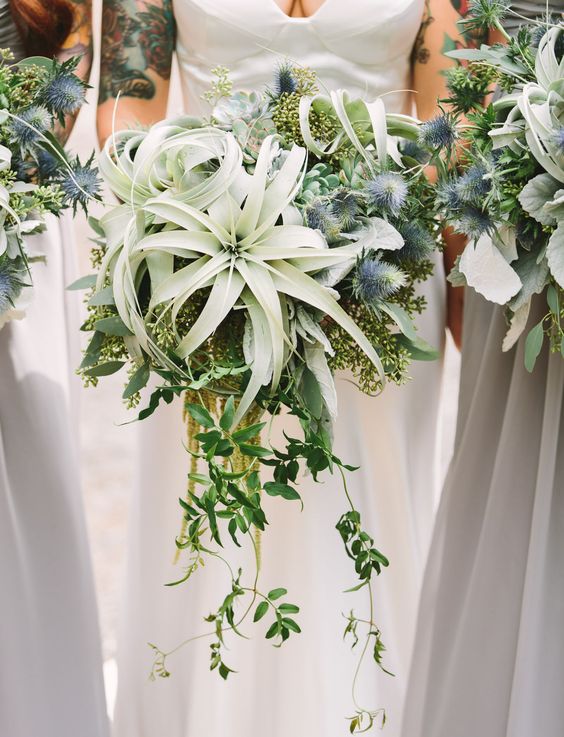 Air Plants, Thistle + Succulents Wedding Bouquets