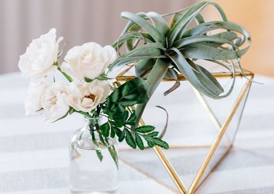 45 Greenery Air Plants Wedding Decor Ideas – Hi Miss Puff
