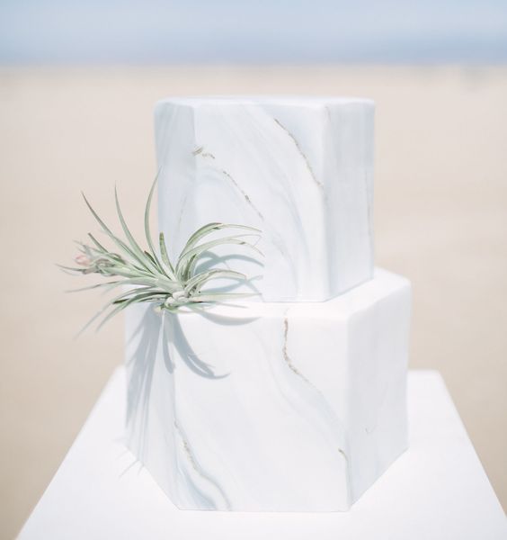Modern marble cake with an air plant
