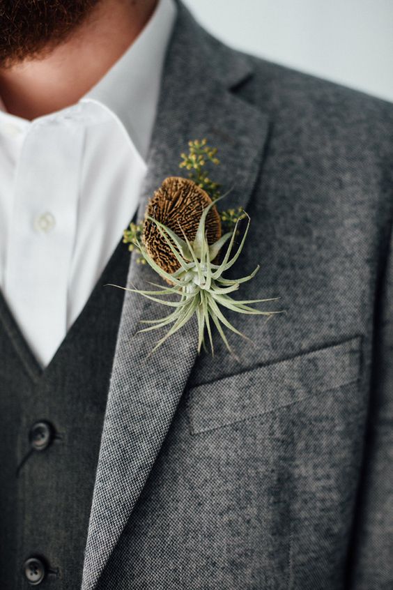 air plant boutonniere – photo by Monika Gauthier Photography