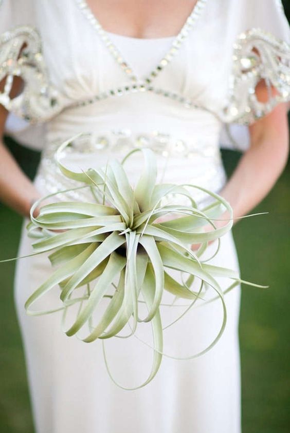 air plant wedding bouquet