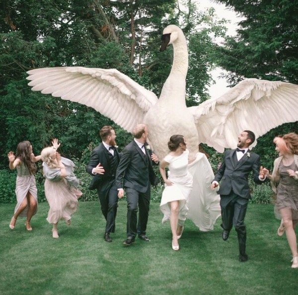 creative wedding photography ideas with your bridesmaids and groomsmen 1