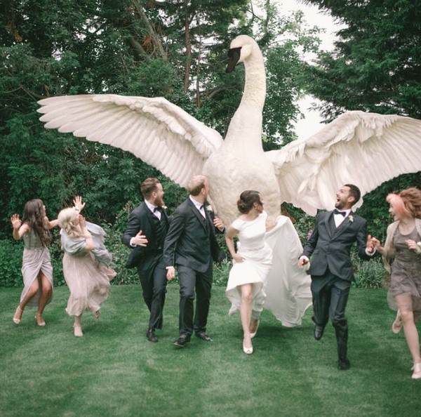 15 Modern Must-Have Wedding Poses for Brides and Grooms - Printique, An  Adorama Company