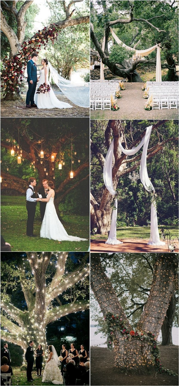 Outdoor Budget Friendly Tree Wedding Backdrops and Arches