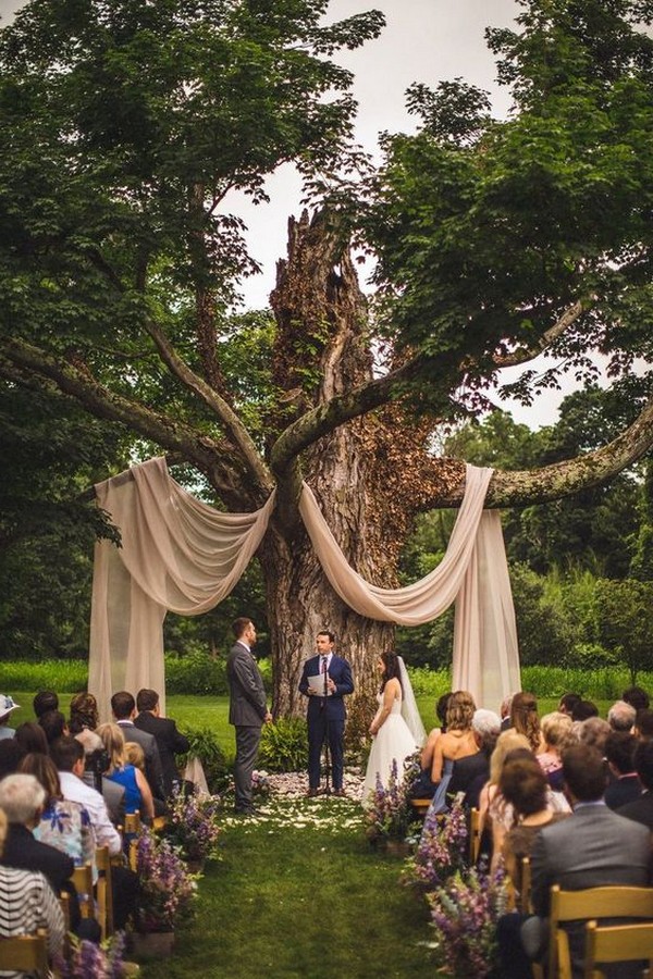 big tree with drapery wedding backdrop ideas
