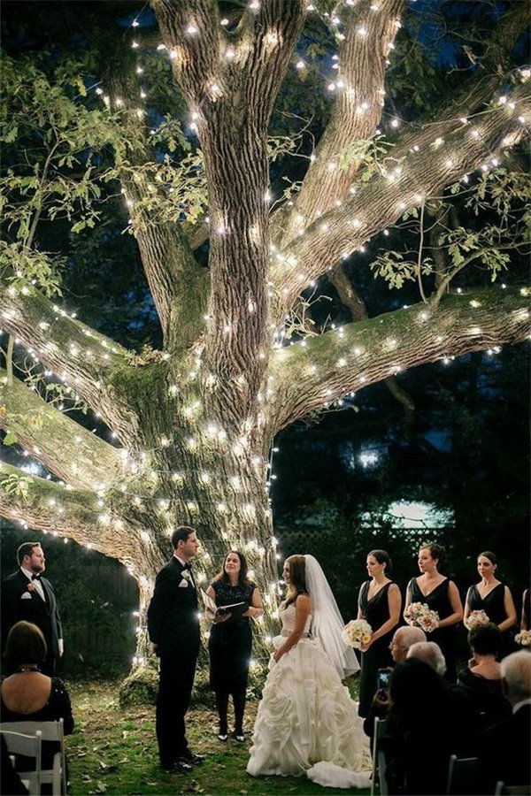 night wedding tree backdrop
