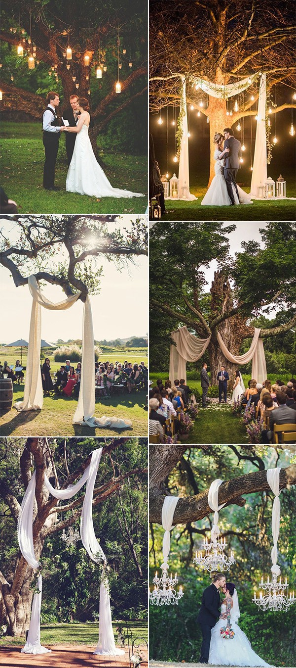 tree wedding backdrop ideas on a budget
