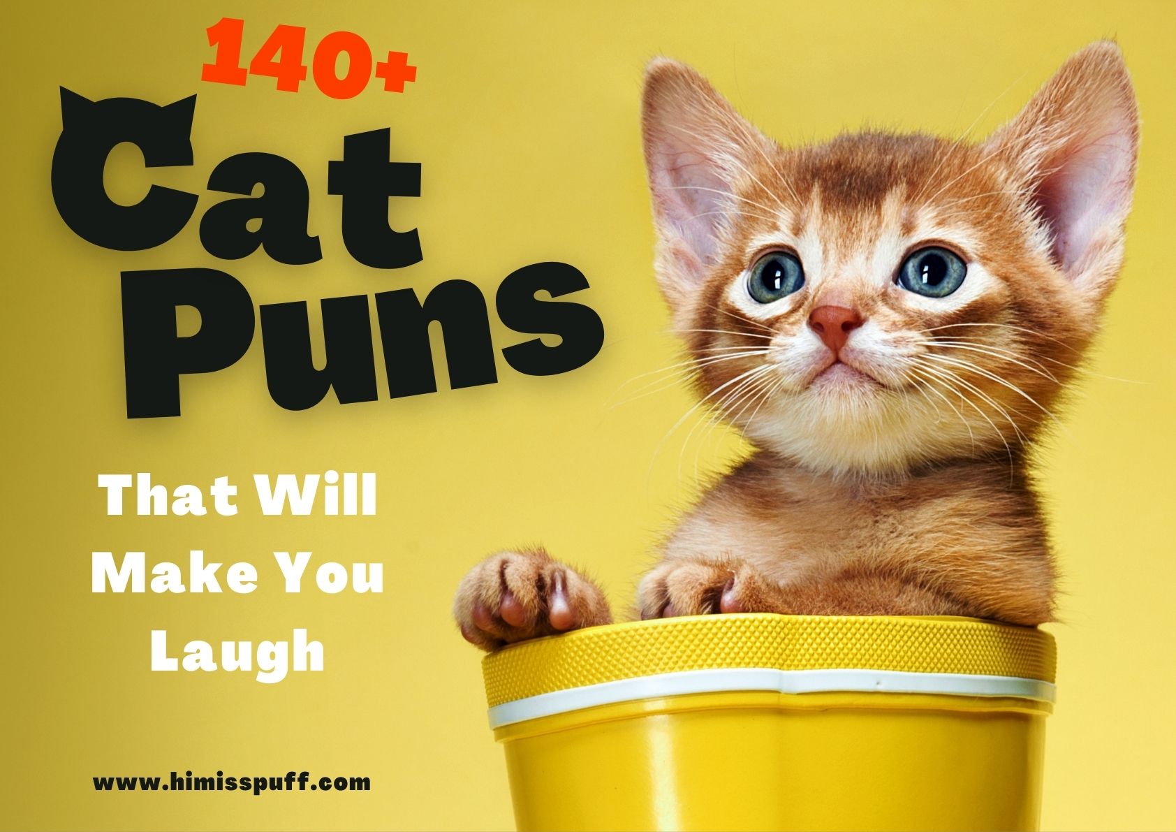 ️ 140+ Cat Puns That Will Make You Laugh