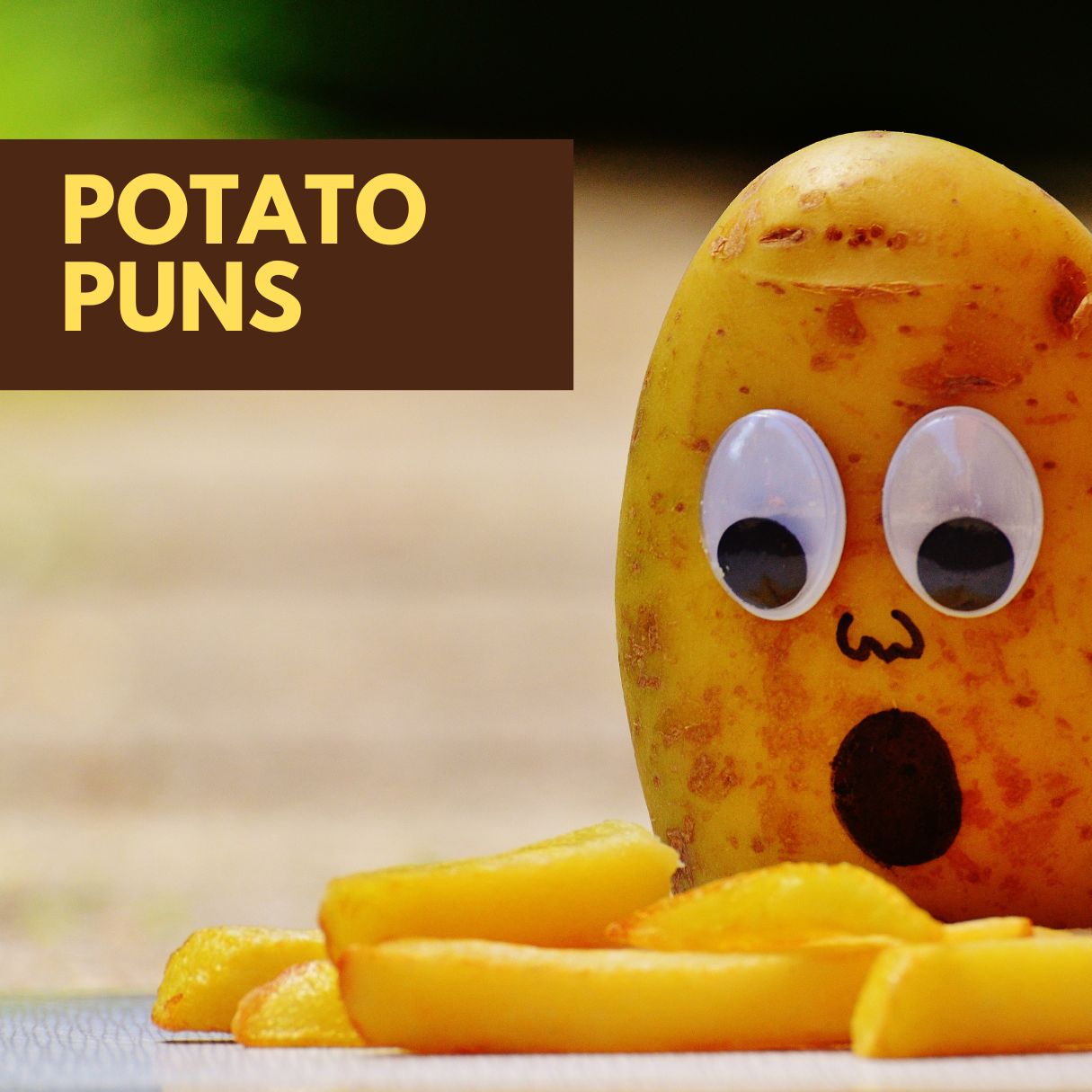 Hilarious Pota to Puns